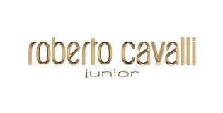 Roberto Cavalli Junior