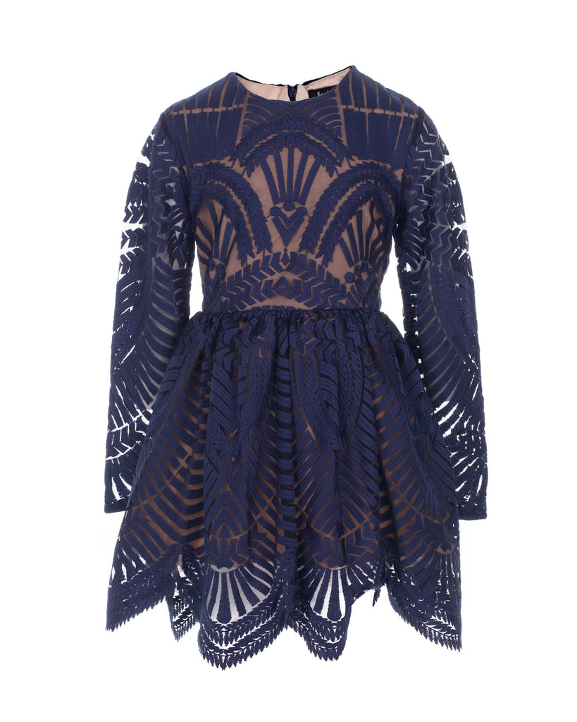 Embroidered Mesh Dress