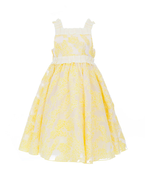 Embroidered Yellow Tulle Dress