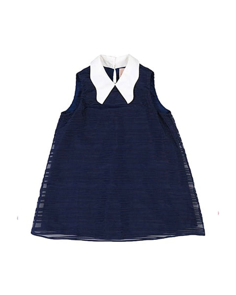 Dark Blue Textured Print Collared Dress