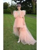 Peach Tulle Dress with Train