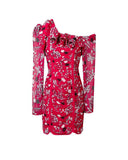Long-sleeved Floral Printed Mini Dress
