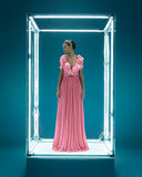 Long Silk Gown