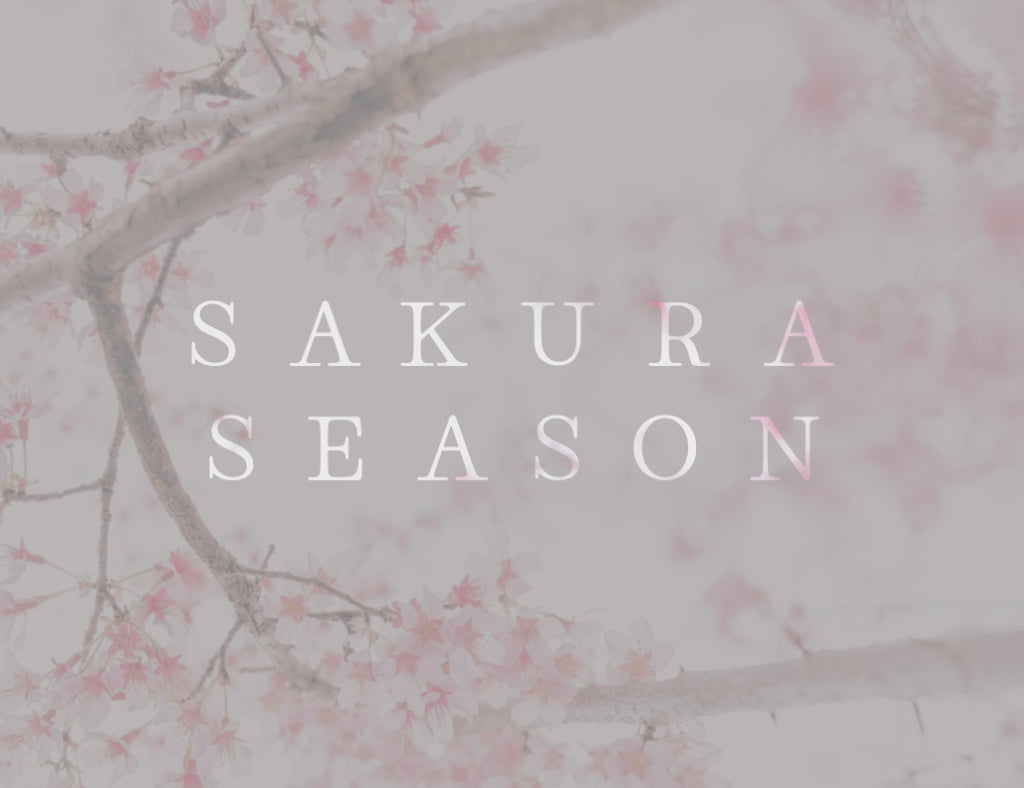 Sakura Photoshoot