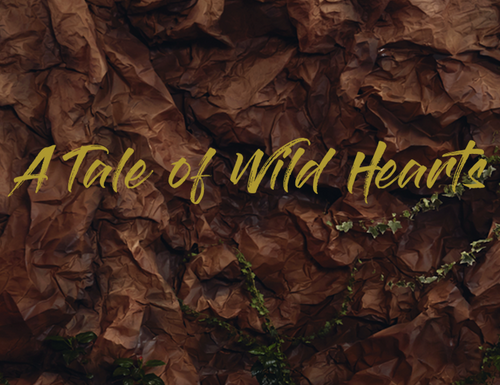 A Tale of Wild Hearts: behind the scene