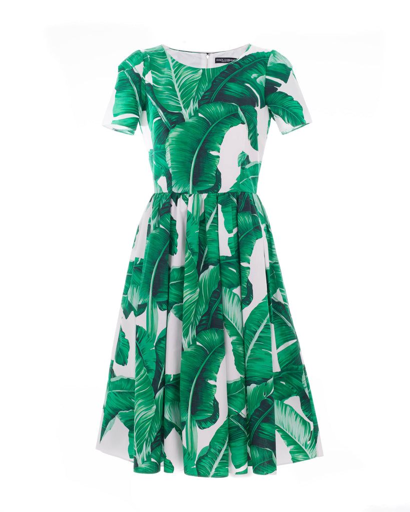 Banana Leaf Print Cotton Poplin Dress (IT 36)