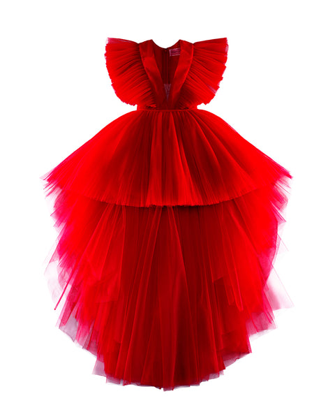 Red Long Tulle Dress