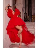 Red Long Tulle Dress