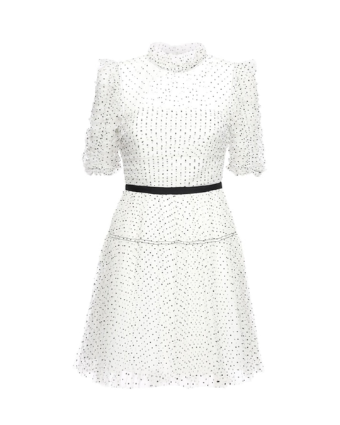 Polkadot Mesh Mini Dress